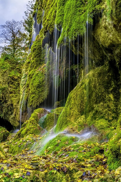 Foto papel de parede da natureza, papel de parede bonito da natureza, papéis de parede da natureza 4k, papel de parede da natureza hd, natureza verde