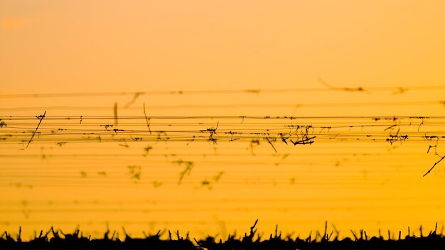 Foto papel de parede de escritório ultra hd 4k