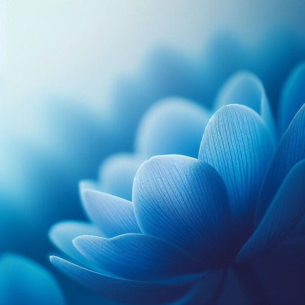papel de parede de flores azuis