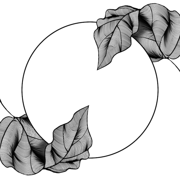 papel de parede de folhas brancas redondas