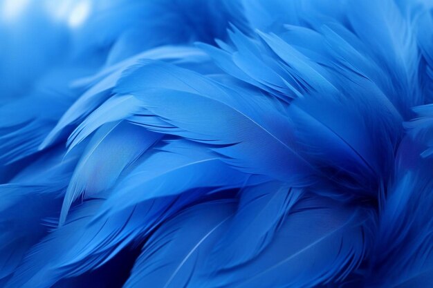 Papel de parede de fundo plumas azuis
