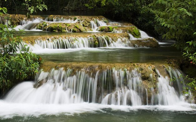 Papel de parede de natureza bonita HD