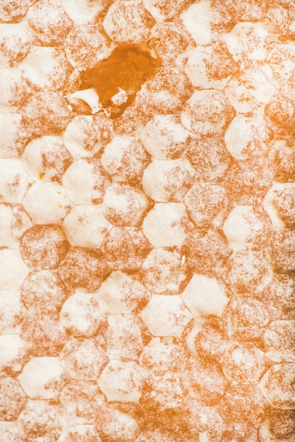 Papel de parede de textura de favo de mel de abelha ou composição vertical de fundo