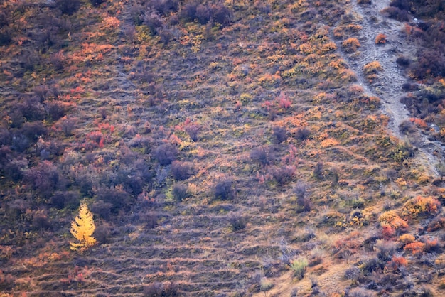 papel de parede outono paisagem montanha altai, liberdade viagem romântica