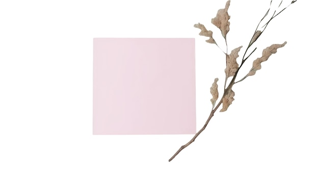 Papel em branco rosa adesivo ou maquete de cartão quadrado e ramo floral seco