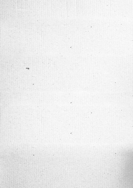 Foto papel escaneado viejo vintage arrugado minimalista blanco negro periódico textura superposición