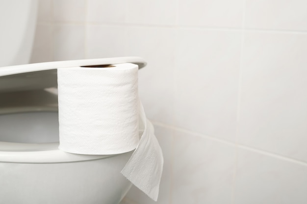 El papel higiénico está en la cisterna del inodoro en casa.