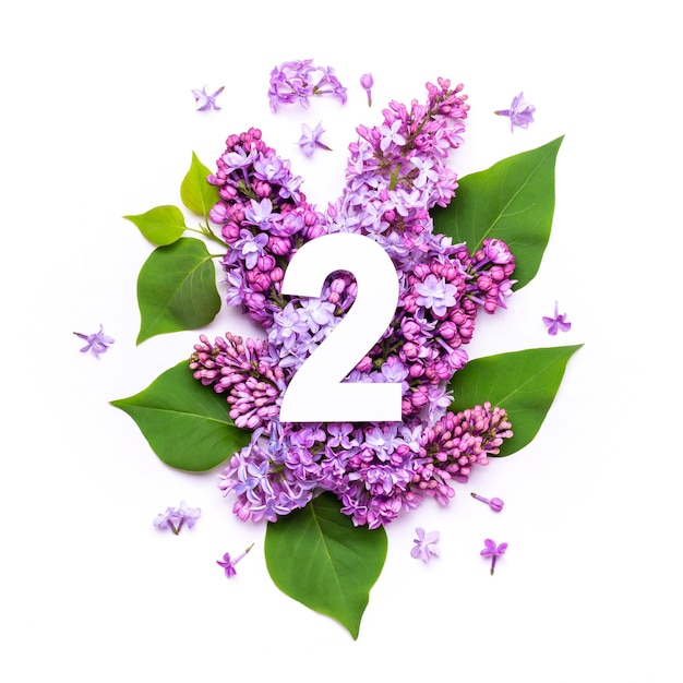Papel número dois em fundo de flores lilás. Layout criativo mínimo com elementos naturais para seu projeto.