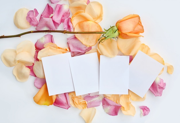 Papel para cartas vazio com flor cor-de-rosa e pétalas no fundo branco.