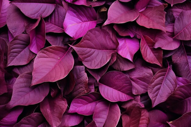 Papel pintado de hojas púrpuras y rosas