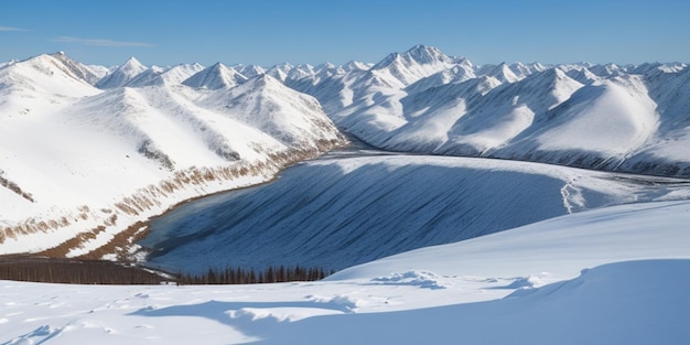 El papel pintado del paisaje cubierto de nieve de Siberia