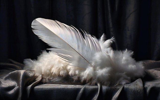 Papel pintado de plumas blancas