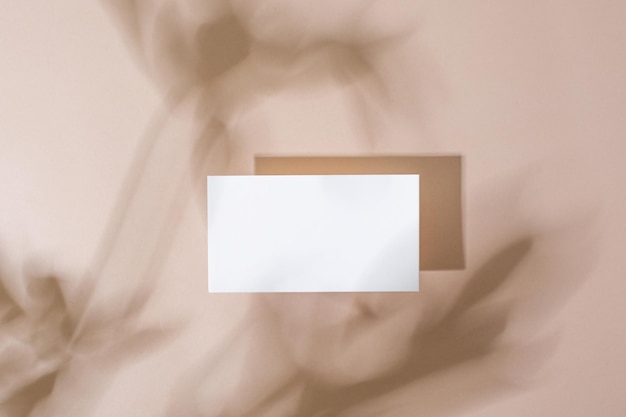 Foto papel de plantilla con sombra de planta verde sobre fondo beige pastel gran diseño para cualquier propósito abs