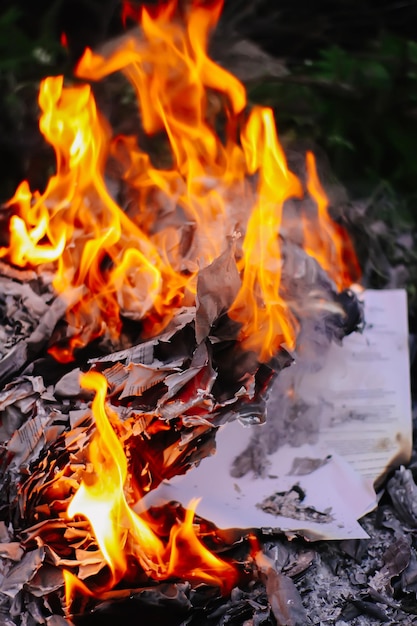 Papel queimando na grama verde de verão ao ar livre