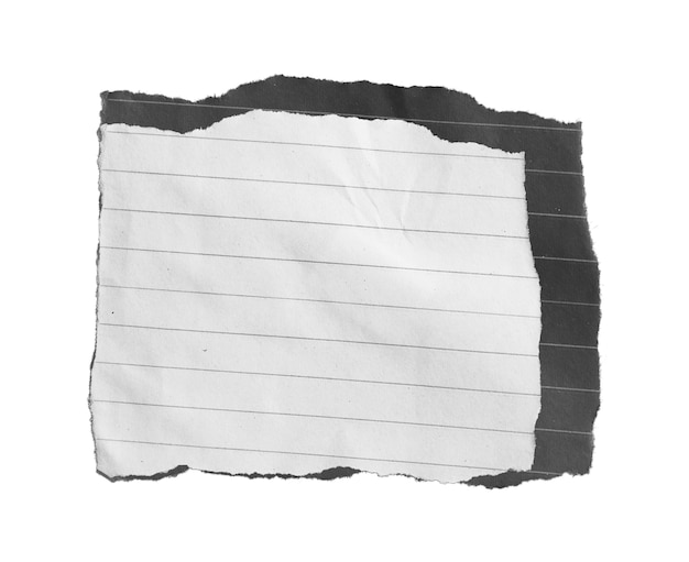 Papel rasgado aislado sobre fondo blanco.