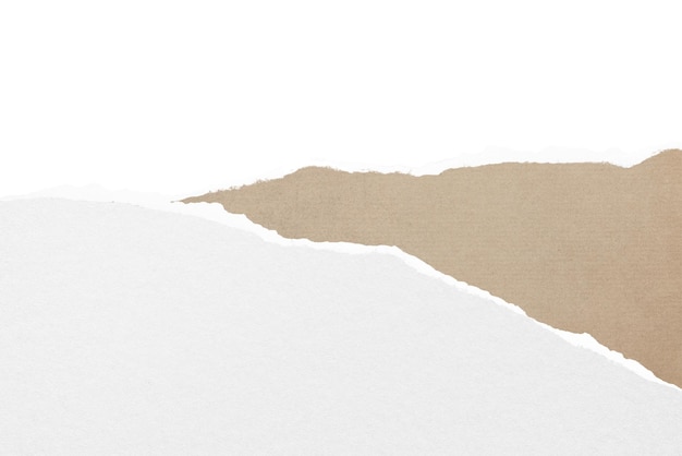 Papel rasgado borda png fundo transparente