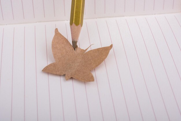 Foto papel recortado en forma de mariposa.