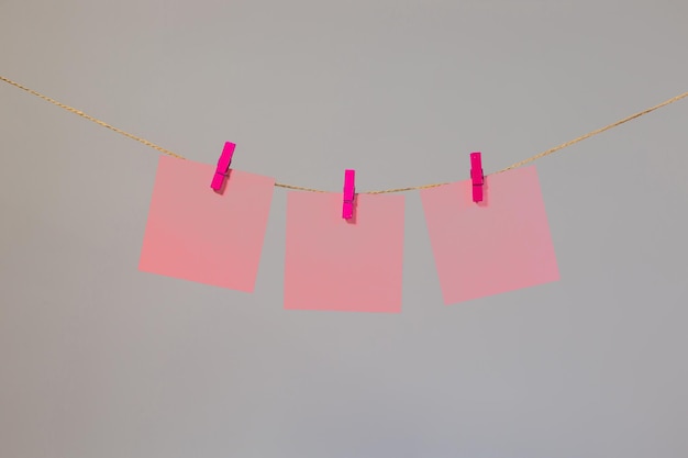 Foto papel rosa colorido para notas, notas, escritório, pendurado em prendedores de roupa coloridos em cadarços, fundo cinza