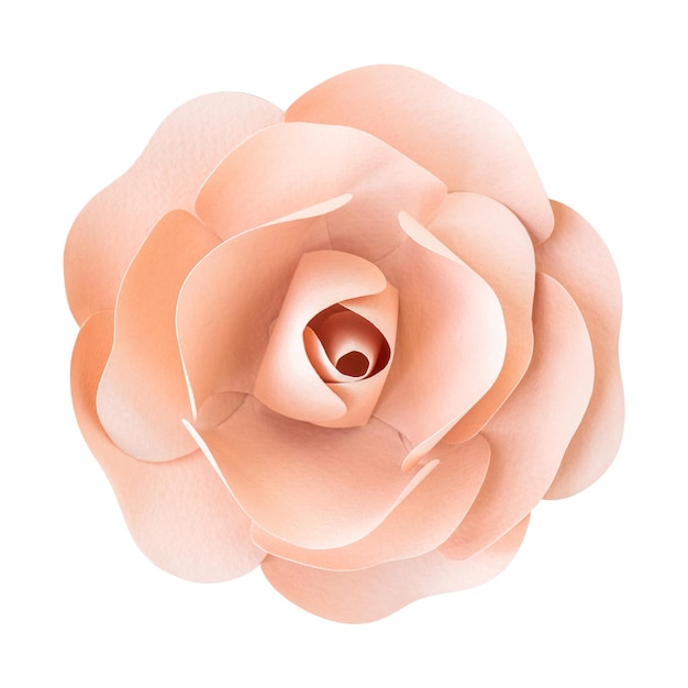Papel de rosa naranja pastel y artesanía de papel transparente en png