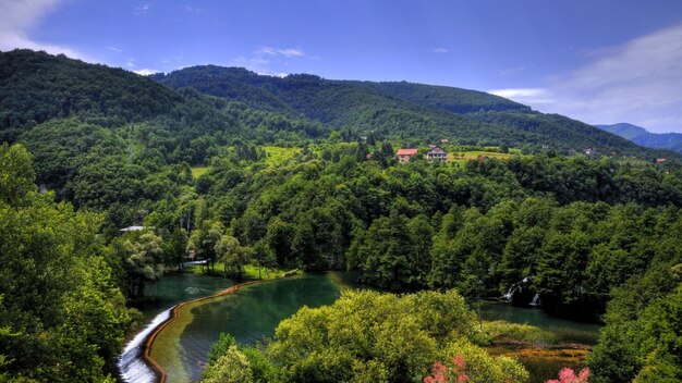 Papel tapiz de paisaje de naturaleza en HD