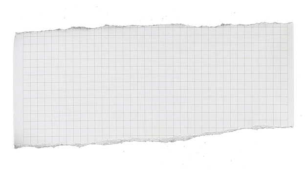 El papel tiene líneas de cuadrícula rotas en pedazos aislados en fondo blanco
