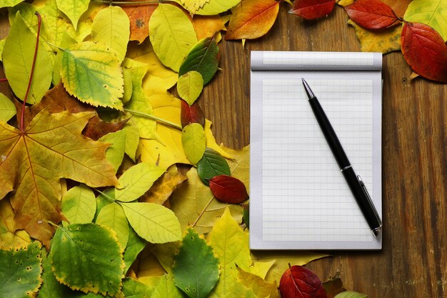 Papel vacío sobre fondo de hojas de otoño y lápiz