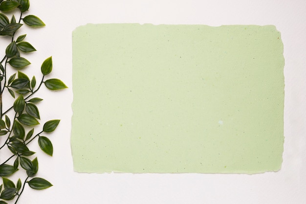 Foto papel verde menta cerca de las hojas artificiales aisladas sobre fondo blanco.