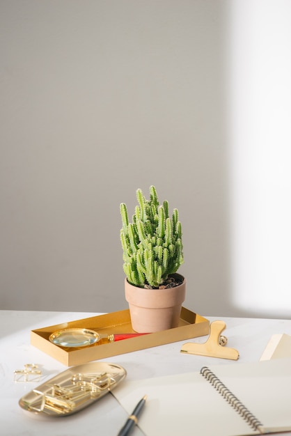 Papelería dorada y cactus en la mesa.