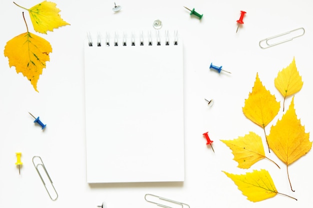 Papelería escolar y hojas amarillas de otoño aisladas en blanco Concepto de regreso a la escuela Espacio de copia