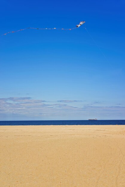 Paper Kite acima da costa do Oceano Atlântico em Sandy Hook com vista para Nova York. Sandy Hook está em Nova Jersey, EUA.