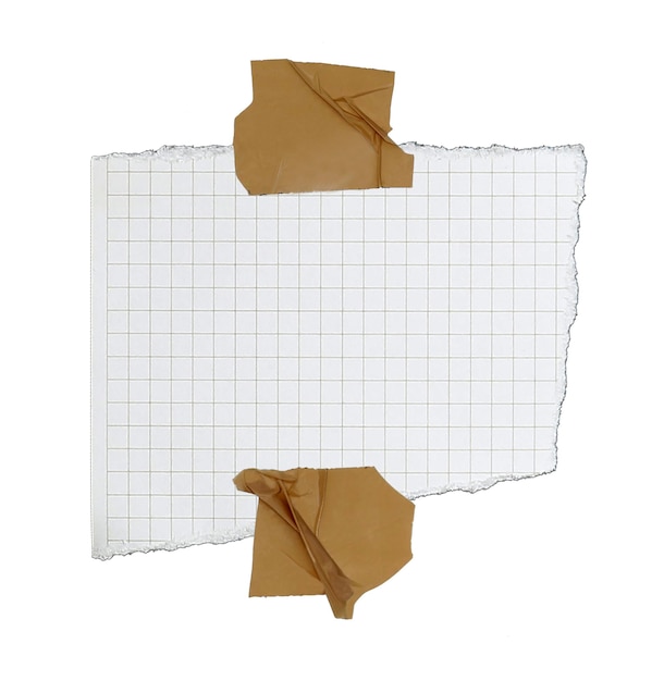 Papier hat Rasterlinien, die in Stücke zerrissen sind und auf weißem Hintergrund isoliert sind