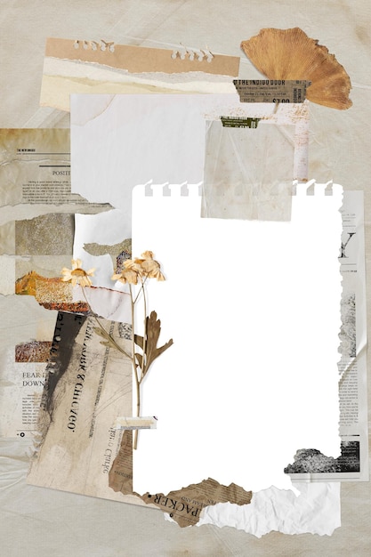 Papiercollage png clipart Vintage getrocknete Blume auf durchsichtigem Hintergrund