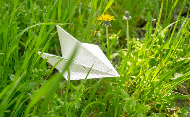 Papierflieger im Gras neben einer Blume Im grünen Gras Papierflieger