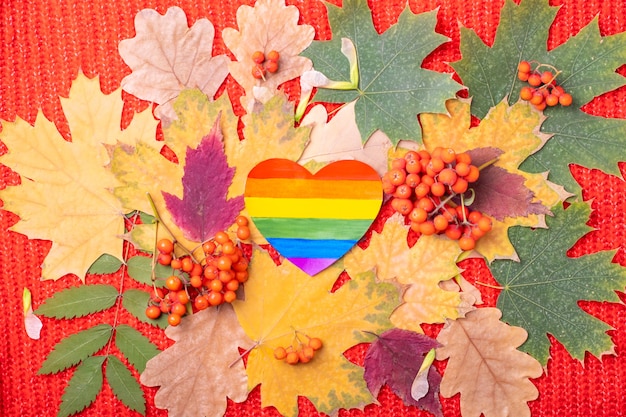 Papierregenbogenherz LGBT-Symbol auf mehrfarbigem rotem, orange, grünem trockenem gefallenem Herbstlaub und orangefarbenen Vogelbeeren auf rotem Hintergrund. Der Herbst ist eine Lieblingsjahreszeit