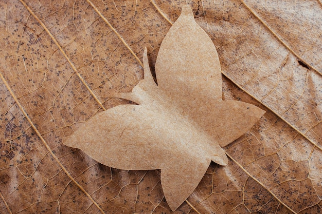 Papierschmetterling Makroansicht der trockenen Blattstruktur