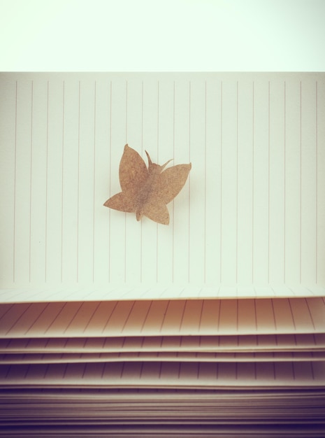 Papierschnitt in Form eines Schmetterlings