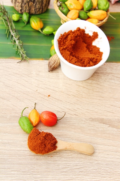 Foto paprika em pó picante vermelho e malagueta