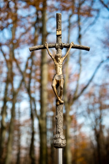 Foto papstkreuz im wald