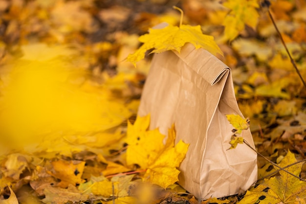 paquete con entrega de comida en el parque de otoño. Entrega de concepto y take away