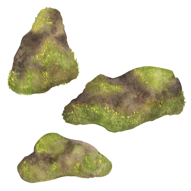Un paquete de piedras grises y marrones con musgo verde paisaje natural clipart bosque piedras jardín antiguo