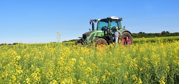 Par, agricultores, canola, campo, trator