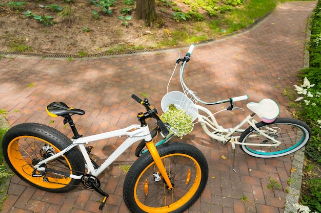 Par de bicicletas uno frente al otro en la acera colocada de ladrillo entre flores de bajo crecimiento en el parque a la sombra