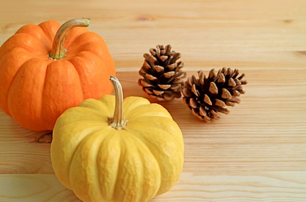 Par de calabazas maduras con conos de pino seco natural sobre fondo de madera