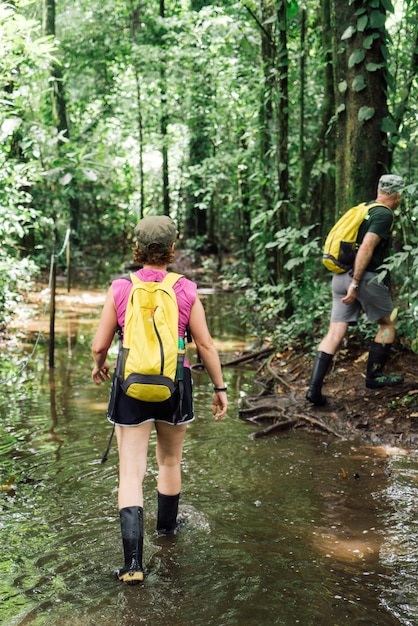 Par de caminatas en la jungla