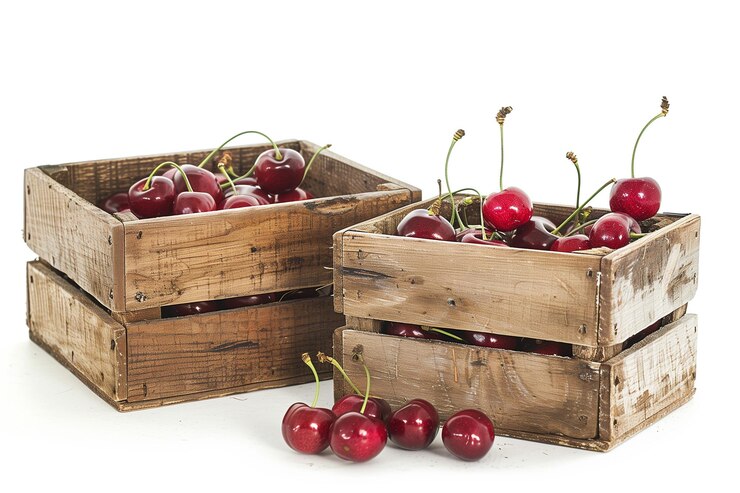 un par de cestas de cerezas frescas cultivadas orgánicamente sobre un fondo blanco