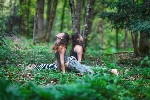 Un par de chicas practican yoga en el bosque