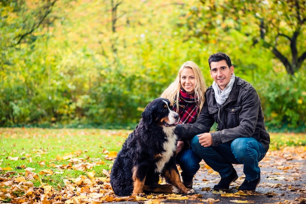 Par, com, cão, desfrutando, outono, em, natureza