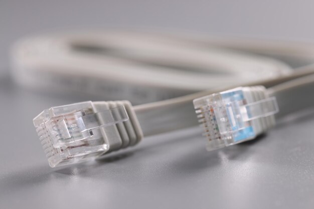 Par de conectores de internet sobre fondo gris cable con clip de plástico