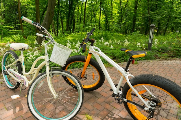 Par de bicicletas frente a frente em uma calçada de tijolos entre flores baixas em um belo parque