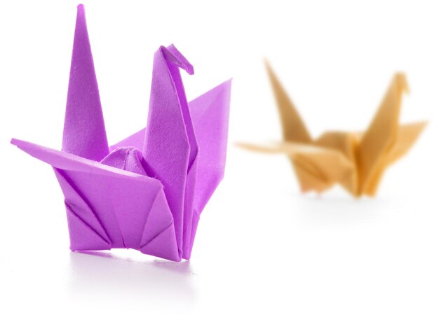 Par de cisnes de origami coloridos isolados em branco